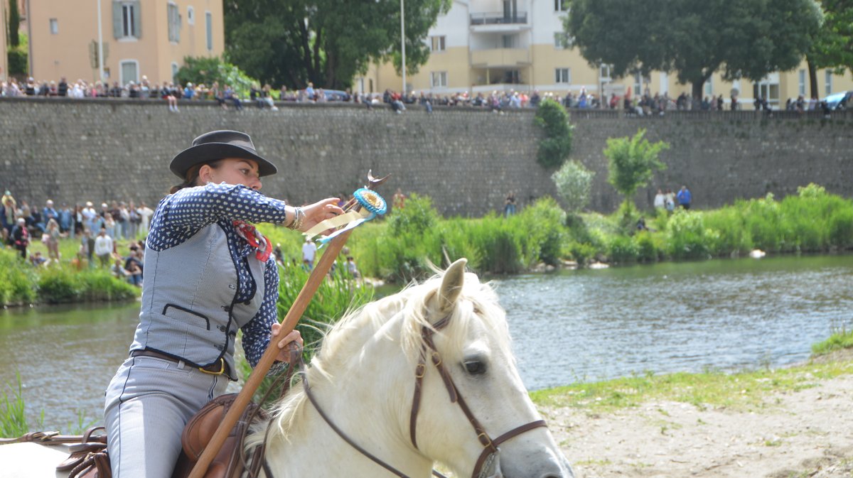 Course des gardians Alès 2026