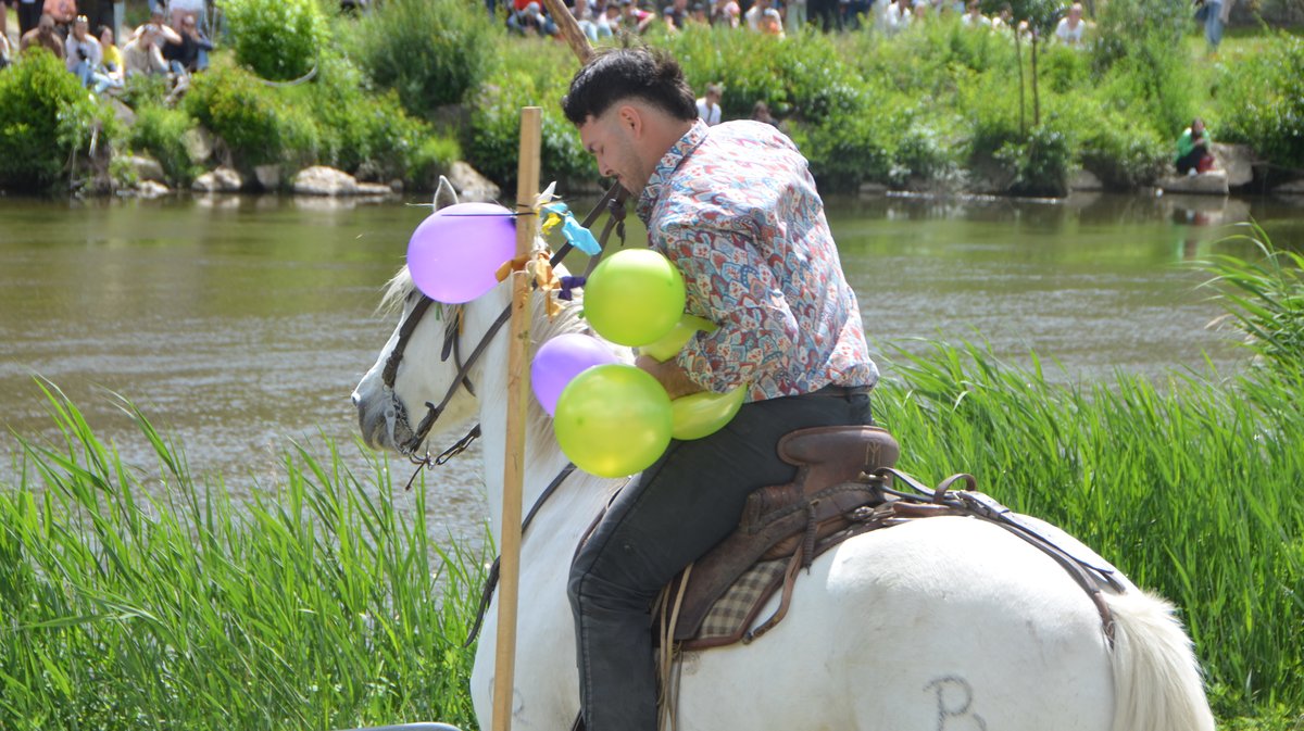 Course des gardians Alès 2026