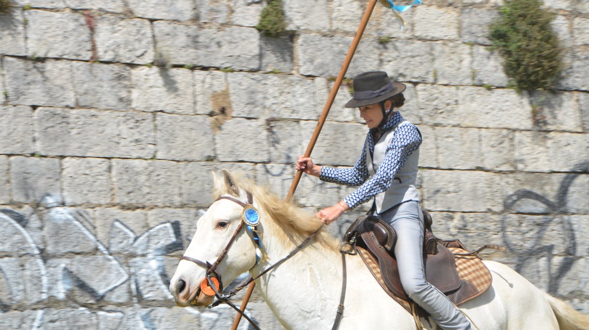 Course des gardians Alès 2026