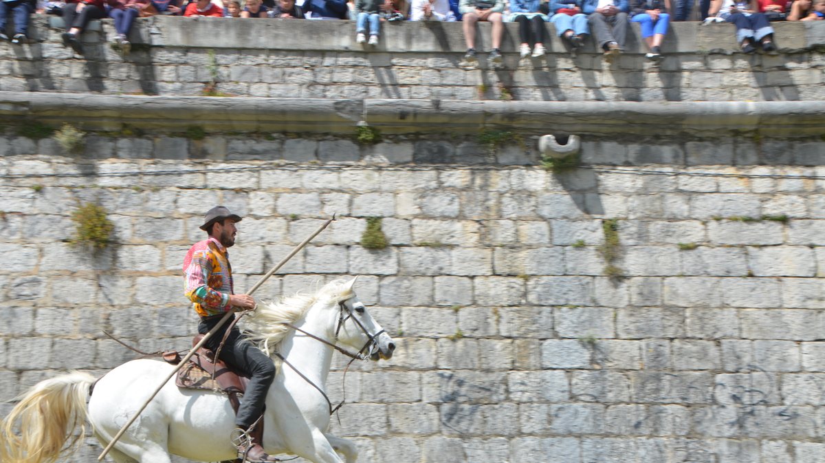 Course des gardians Alès 2026