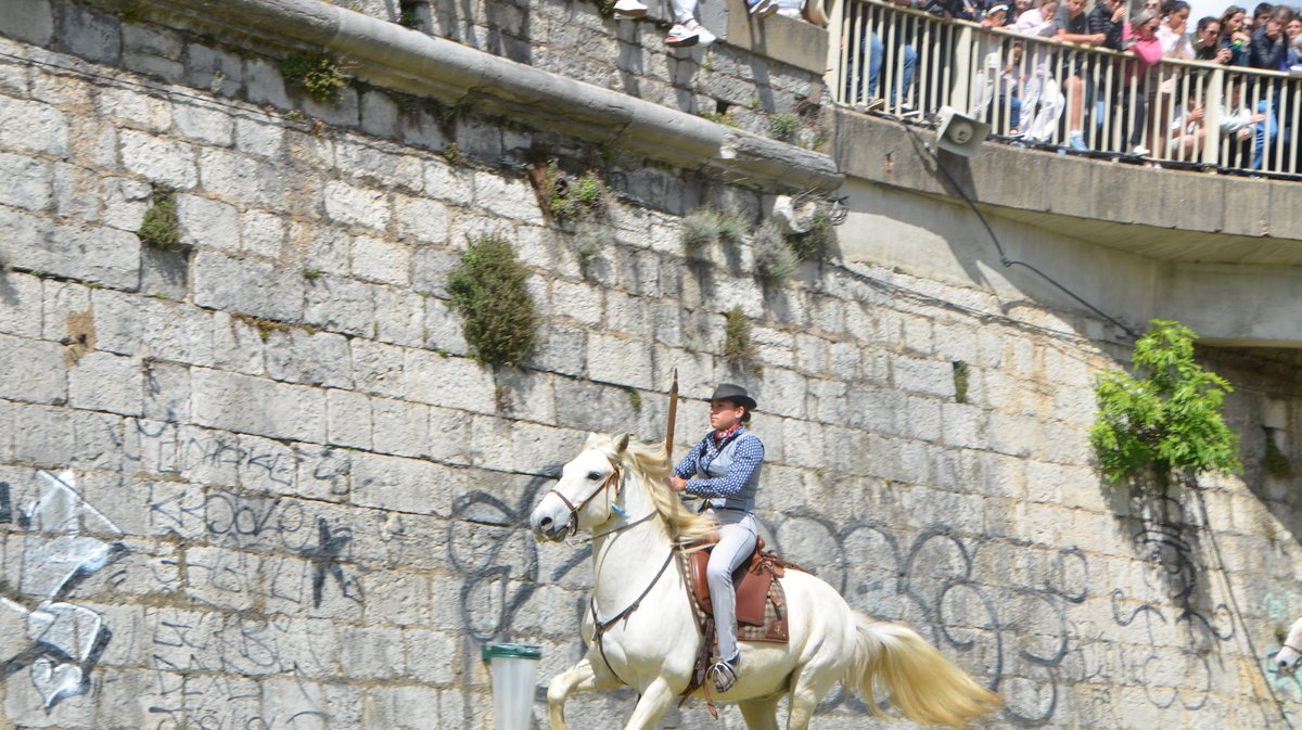 Course des gardians Alès 2026