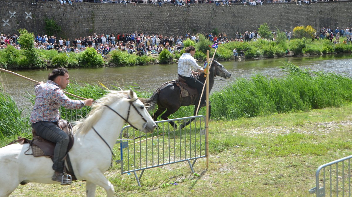Course des gardians Alès 2026