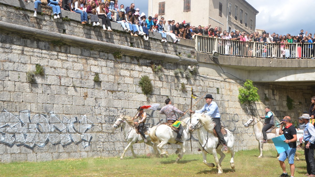 Course des gardians Alès 2026