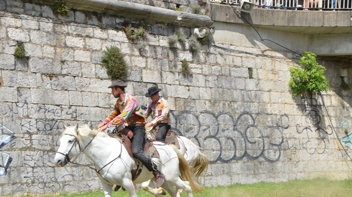 Course des gardians Alès 2026
