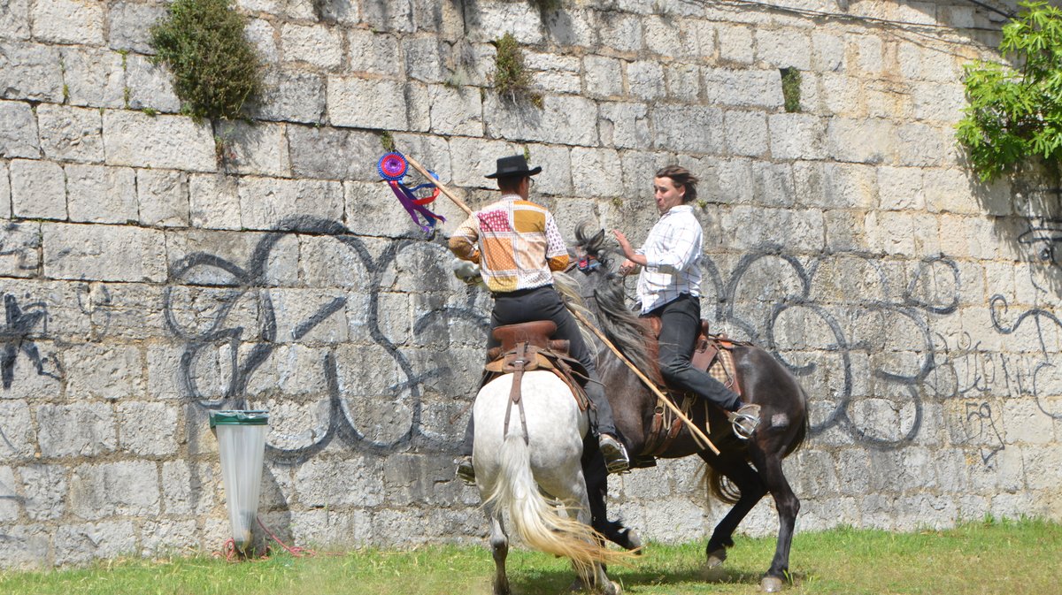 Course des gardians Alès 2026