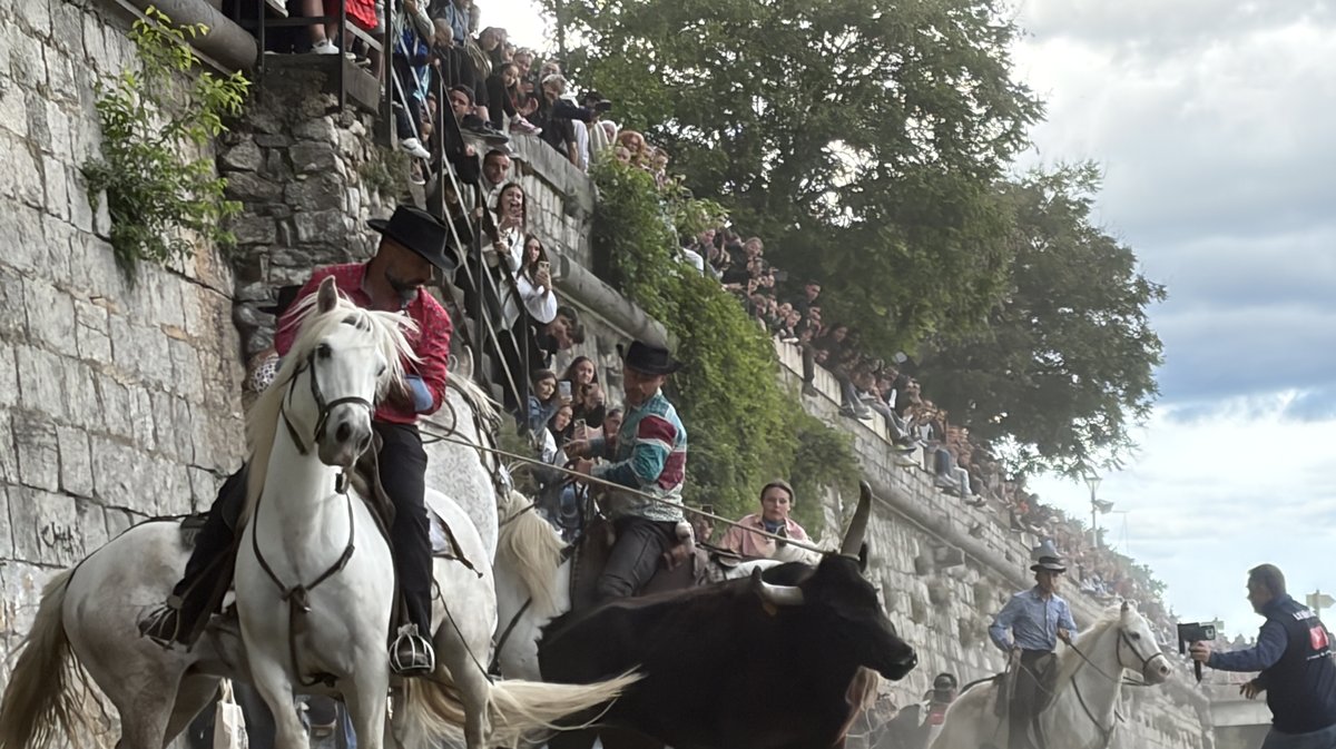 Gaze Feria Alès 2026