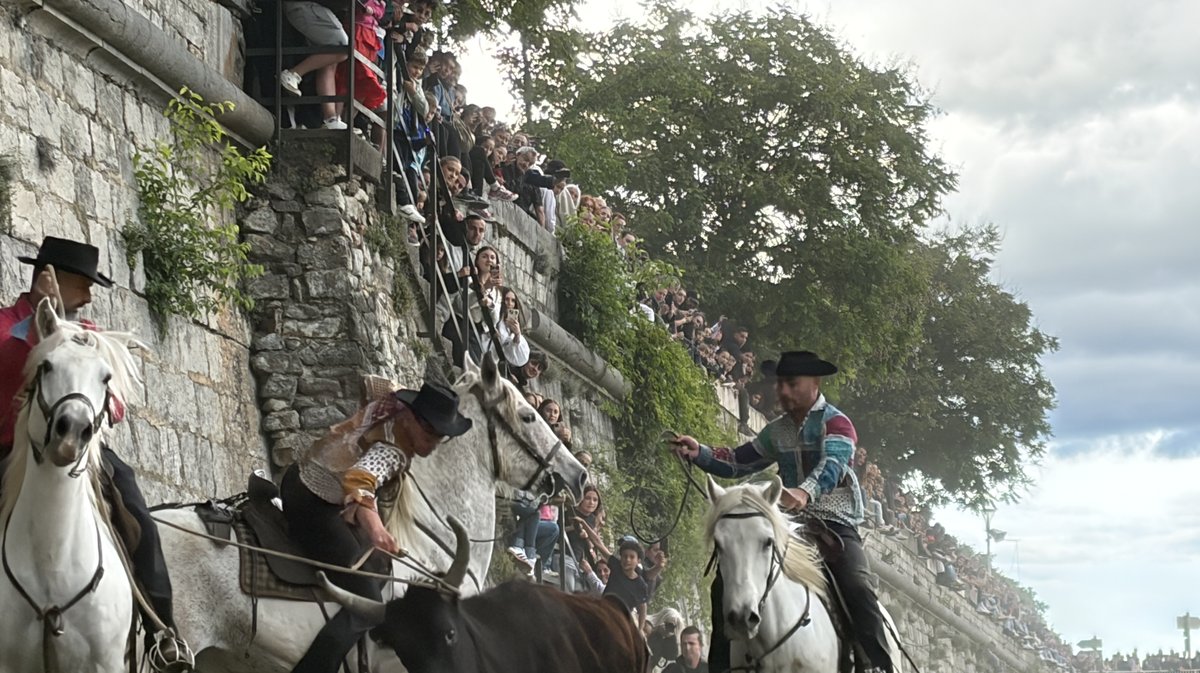 Gaze Feria Alès 2026