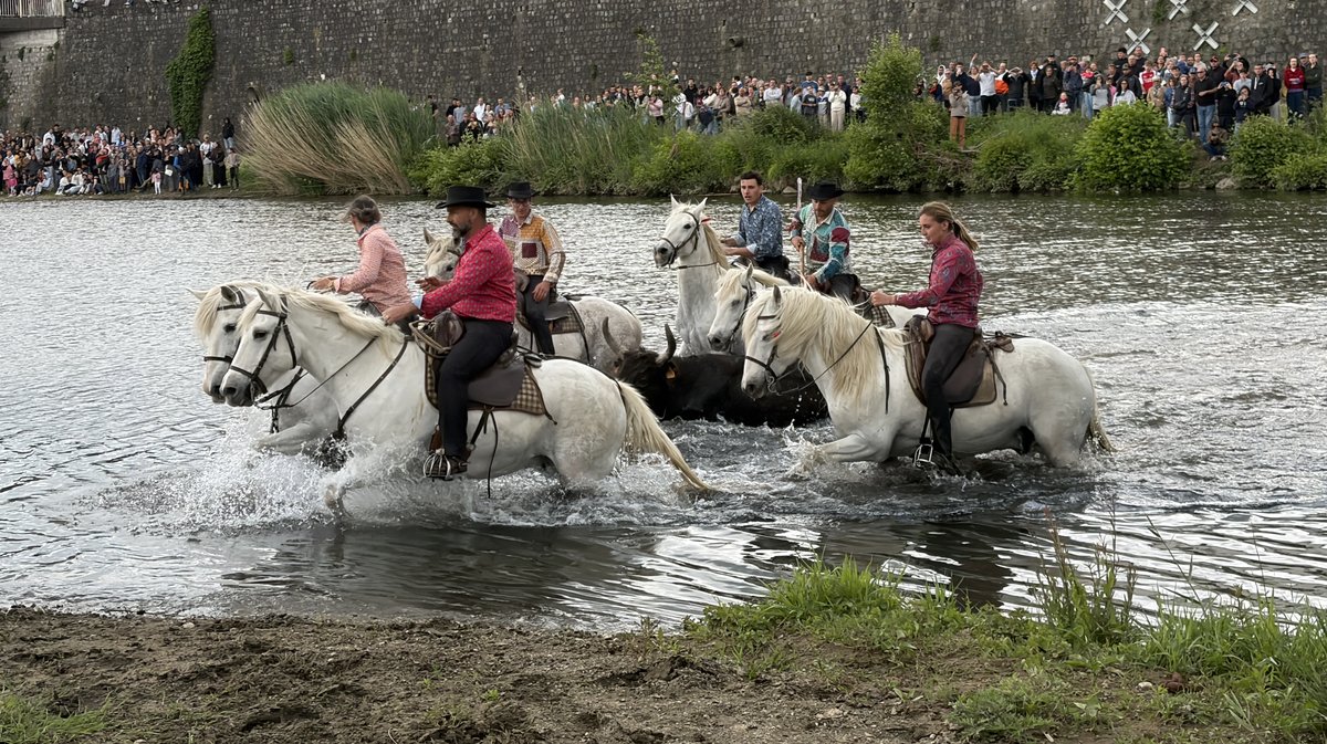 Gaze Feria Alès 2026