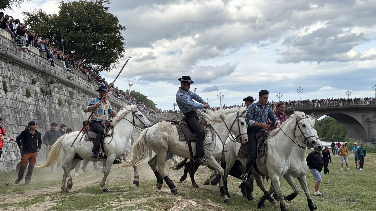 Gaze Feria Alès 2026