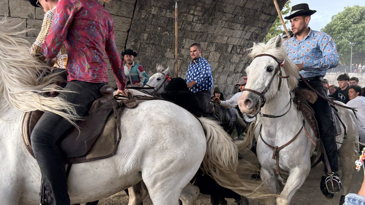 Gaze Feria Alès 2026