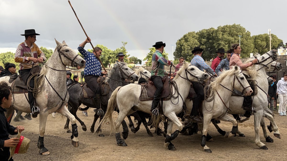 Gaze Feria Alès 2026