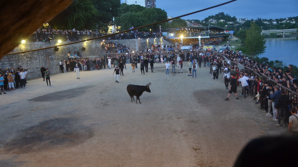 Alès feria encierro
