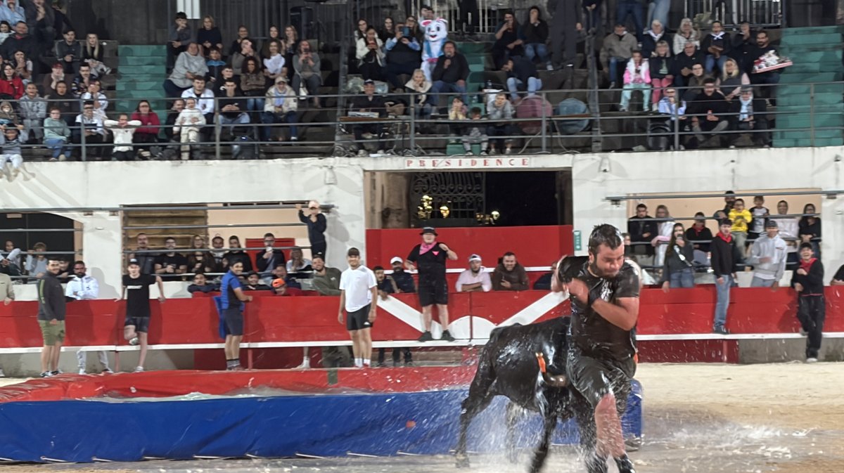 Alès feria toropiscine