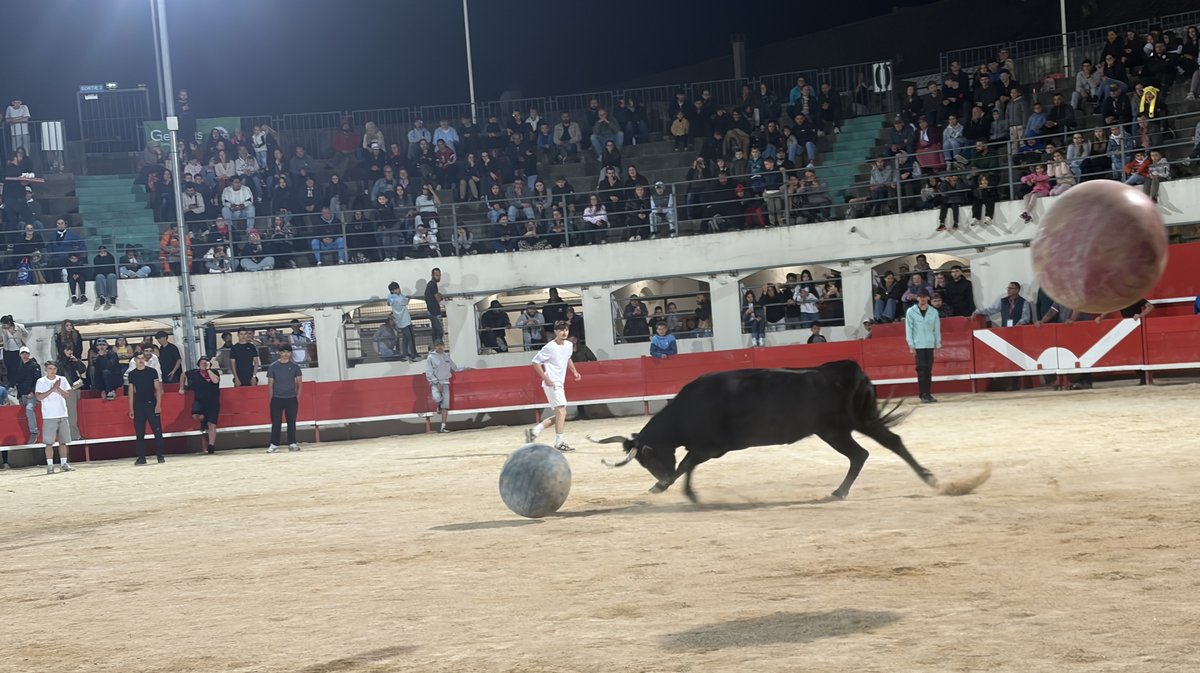 Alès feria toropiscine