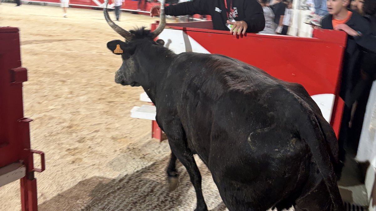 Alès feria