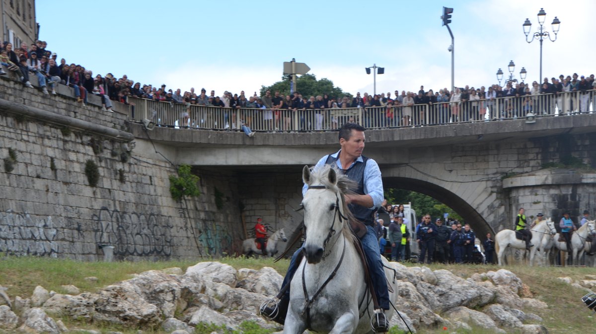 Gardonnenque Feria Alès 2026