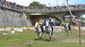 Gardonnenque Feria Alès 2026