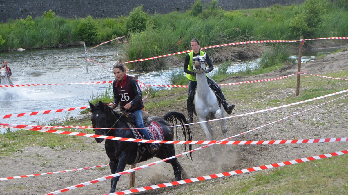 Gardonnenque Feria Alès 2026