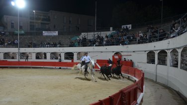 Soirée des gardians alès