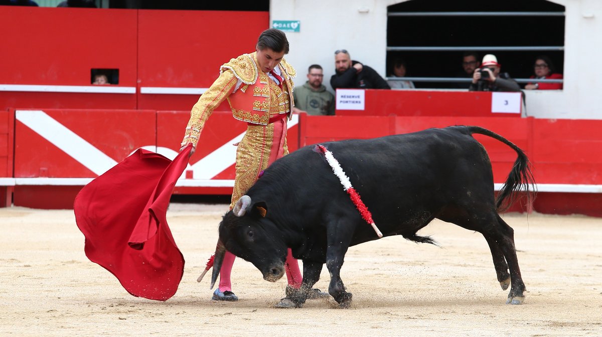Mano a mano de Barcelo et La Suerte pour Mathias Sauvaire et Rémy Asensio (Photo Anthony Maurin)