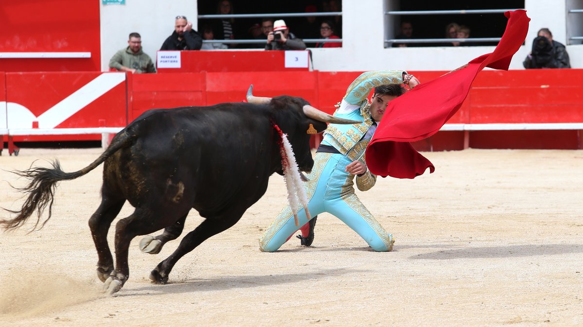 Mano a mano de Barcelo et La Suerte pour Mathias Sauvaire et Rémy Asensio (Photo Anthony Maurin)
