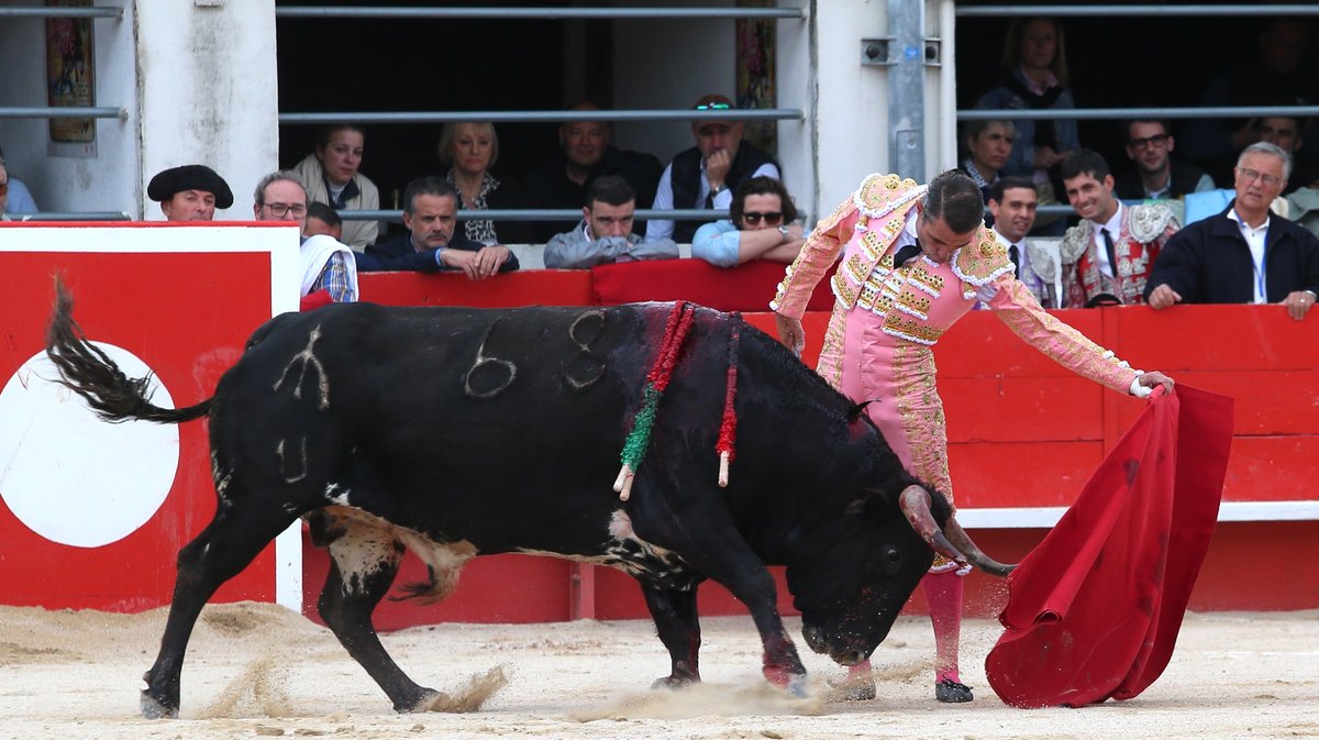 Corrida du Curé de Valverde et Robert Margé pour Sanchez Vara, El Rafi et Carlos Olsina (Photo Anthony Maurin)