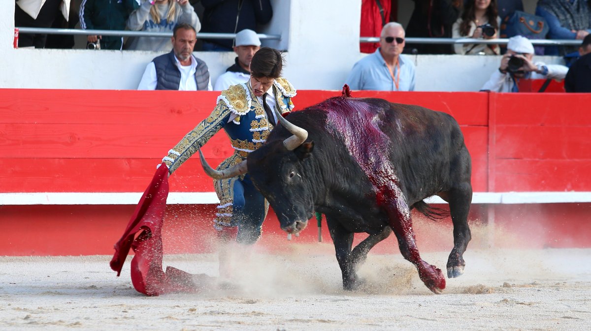 Corrida du Curé de Valverde et Robert Margé pour Sanchez Vara, El Rafi et Carlos Olsina (Photo Anthony Maurin)