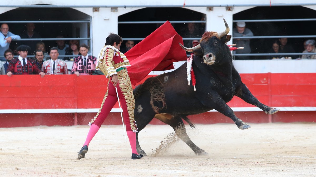 Corrida du Curé de Valverde et Robert Margé pour Sanchez Vara, El Rafi et Carlos Olsina (Photo Anthony Maurin)