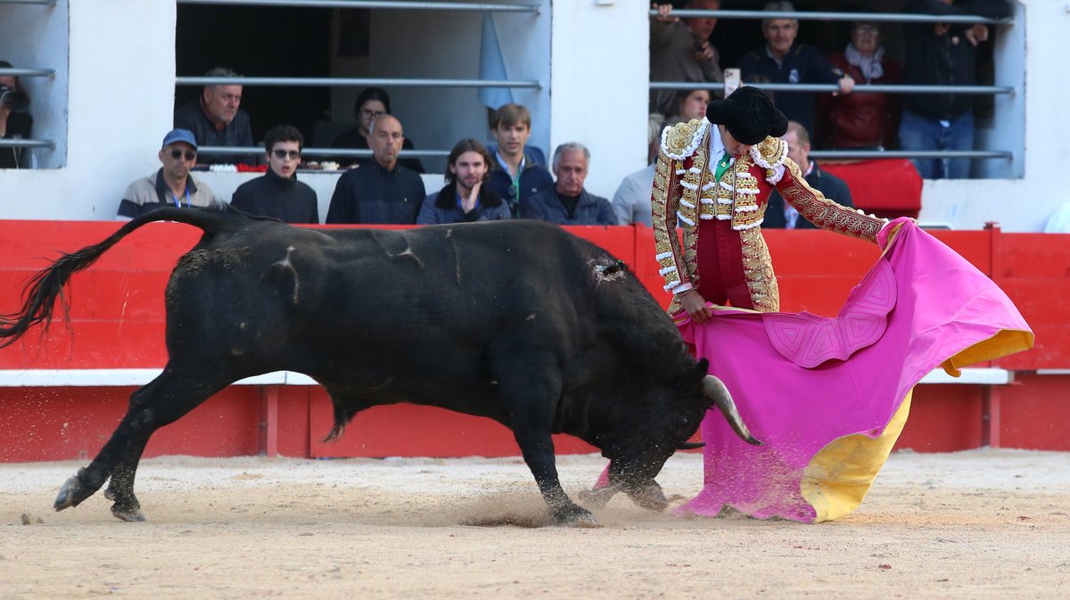 Corrida du Curé de Valverde et Robert Margé pour Sanchez Vara, El Rafi et Carlos Olsina (Photo Anthony Maurin)CV4P0645