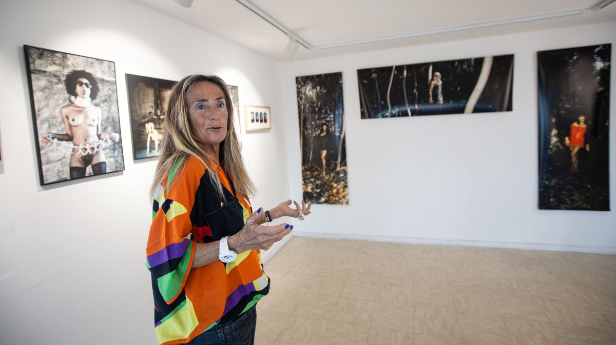 Gallerie MJH expo Le Normand