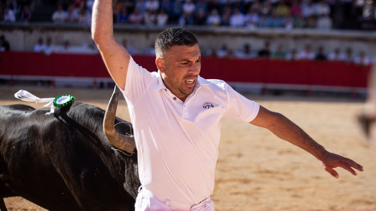 arenes nimes feria course camarguaise