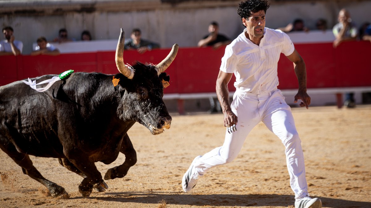 arenes nimes feria course camarguaise