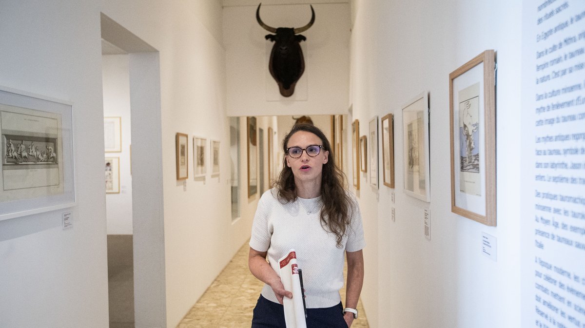 exposition nimes eau camargue taureaux musee