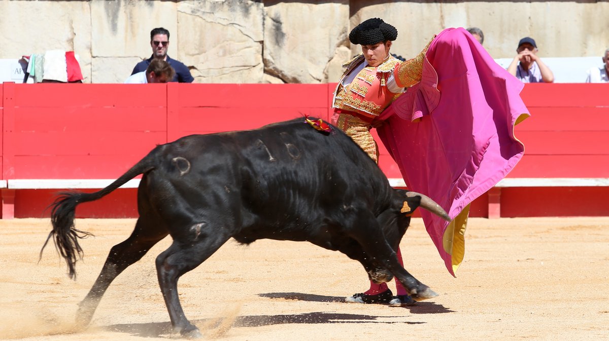 Novillada sans picadors de Roland Durand pour Mathias Sauvaire, Manuel Realito, Rogelio Pajuelo et Lisares (Photo Anthony Maurin)