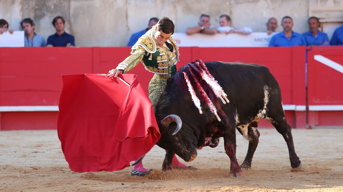 Corrida de Virgen Maria pour Miguel Angel Perera, Paco Ureña et Aaron Palacio (Photo Anthony Maurin)