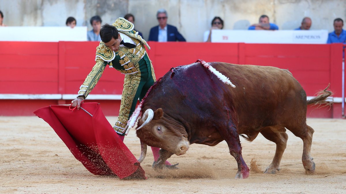 Corrida de Virgen Maria pour Miguel Angel Perera, Paco Ureña et Aaron Palacio (Photo Anthony Maurin)