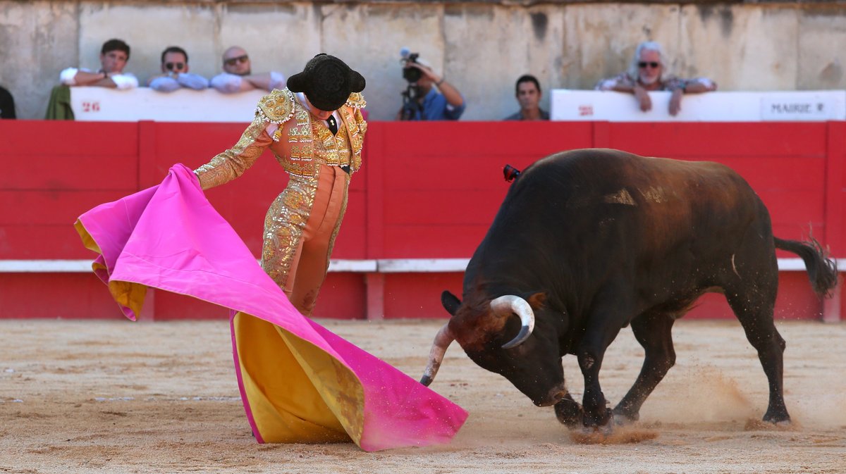 Corrida de Virgen Maria pour Miguel Angel Perera, Paco Ureña et Aaron Palacio (Photo Anthony Maurin)