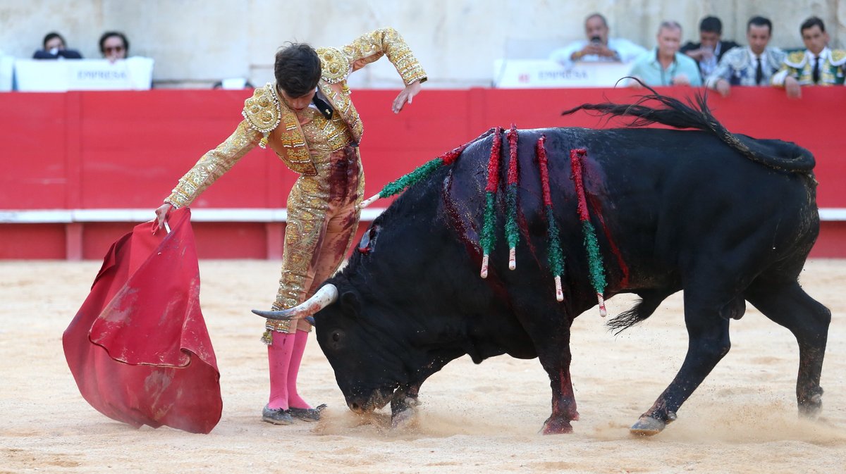 Corrida de Virgen Maria pour Miguel Angel Perera, Paco Ureña et Aaron Palacio (Photo Anthony Maurin)