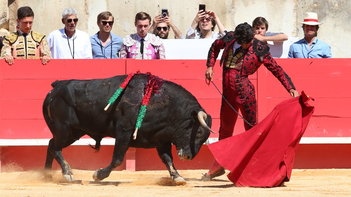 Novillada de la Cape d'Or de la peña Antonio Ordoñez de Talavante pour Emiliano Osornio, Victor et Clovis (Photo Anthony Maurin)