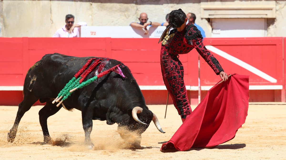 Novillada de la Cape d'Or de la peña Antonio Ordoñez de Talavante pour Emiliano Osornio, Victor et Clovis (Photo Anthony Maurin)