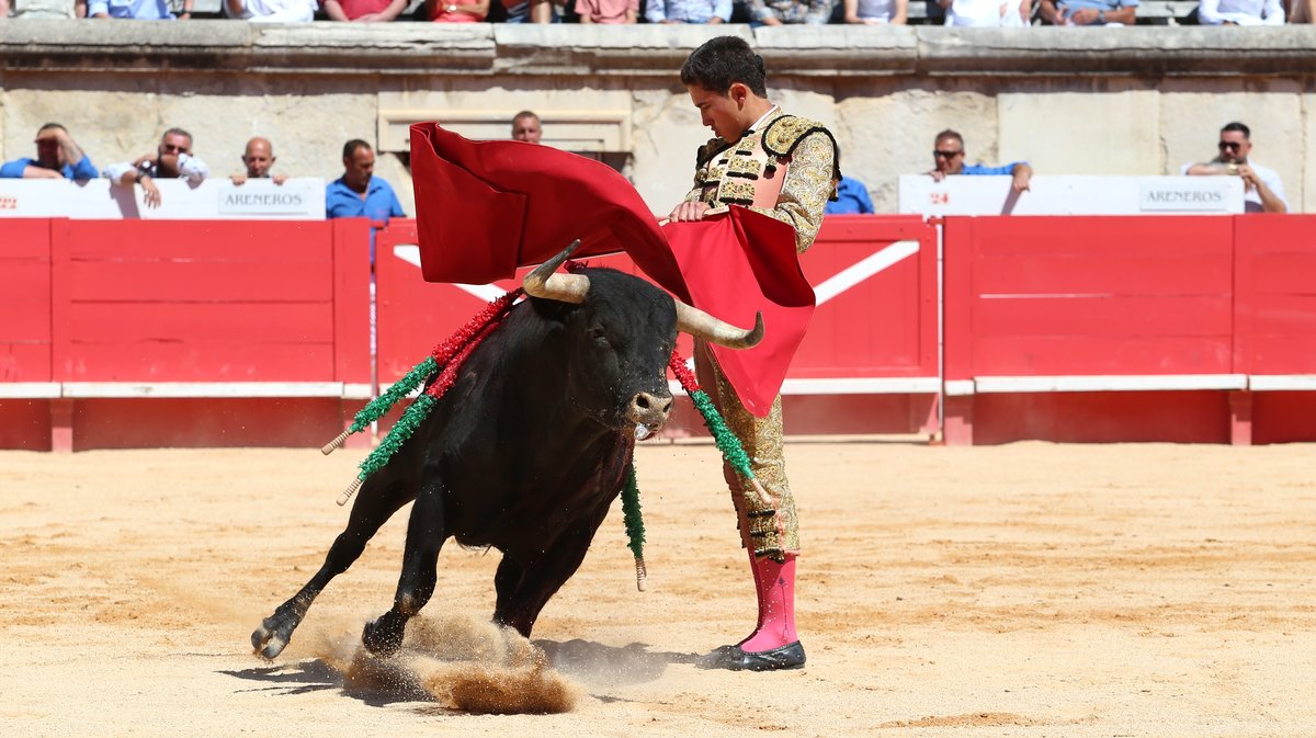 Novillada de la Cape d'Or de la peña Antonio Ordoñez de Talavante pour Emiliano Osornio, Victor et Clovis (Photo Anthony Maurin)