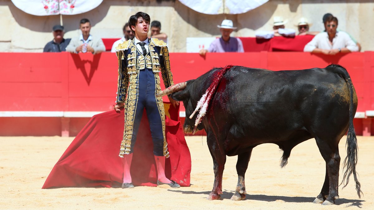 Novillada de la Cape d'Or de la peña Antonio Ordoñez de Talavante pour Emiliano Osornio, Victor et Clovis (Photo Anthony Maurin)