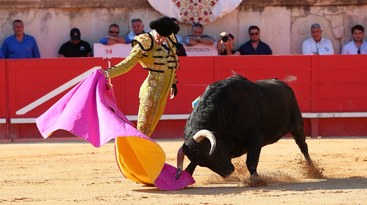 Corrida d'El Freixo pour Alejandro Talavante, Juan Ortega et Marco Perez (Photo Anthony Maurin)