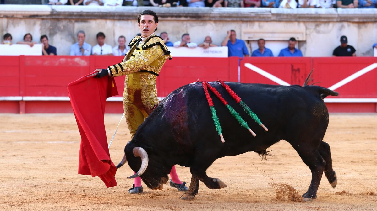 Corrida d'El Freixo pour Alejandro Talavante, Juan Ortega et Marco Perez (Photo Anthony Maurin)