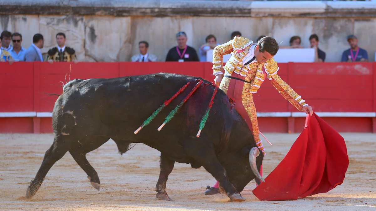 Corrida d'El Freixo pour Alejandro Talavante, Juan Ortega et Marco Perez (Photo Anthony Maurin)
