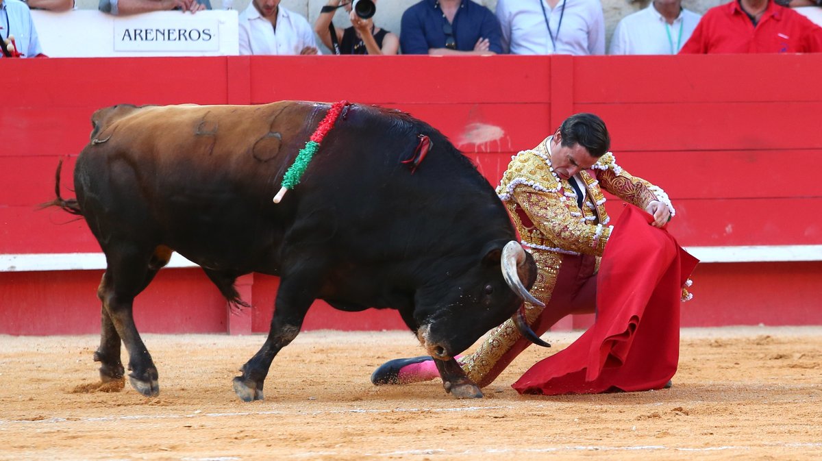 Corrida d'El Freixo pour Alejandro Talavante, Juan Ortega et Marco Perez (Photo Anthony Maurin)