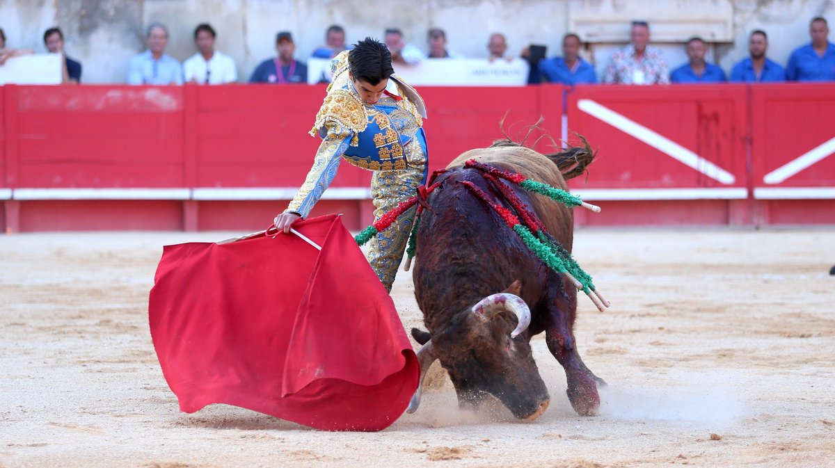 Corrida d'El Freixo pour Alejandro Talavante, Juan Ortega et Marco Perez (Photo Anthony Maurin)