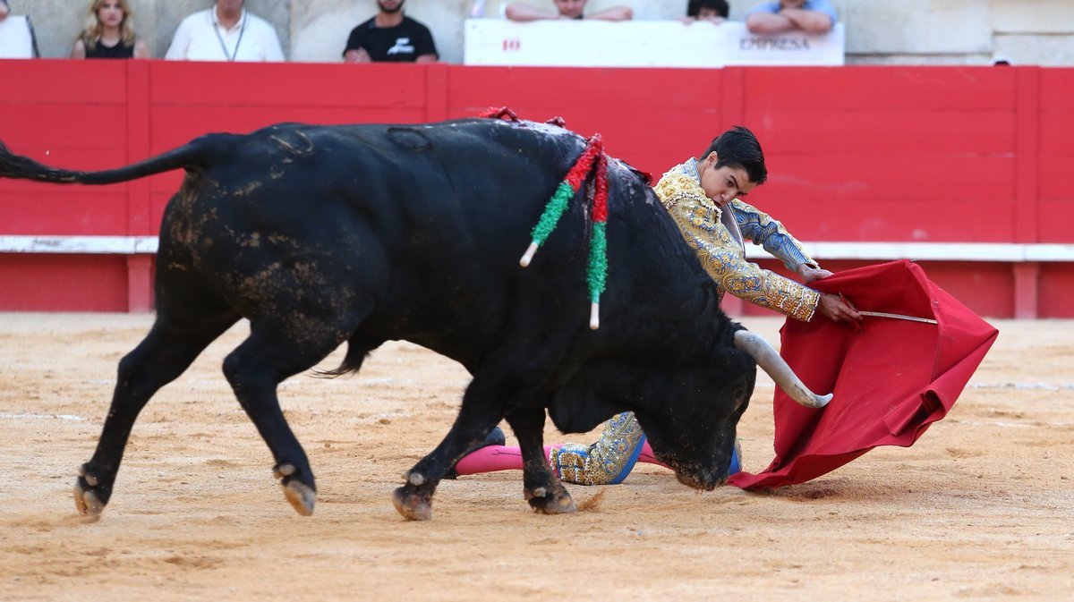 Corrida d'El Freixo pour Alejandro Talavante, Juan Ortega et Marco Perez (Photo Anthony Maurin)