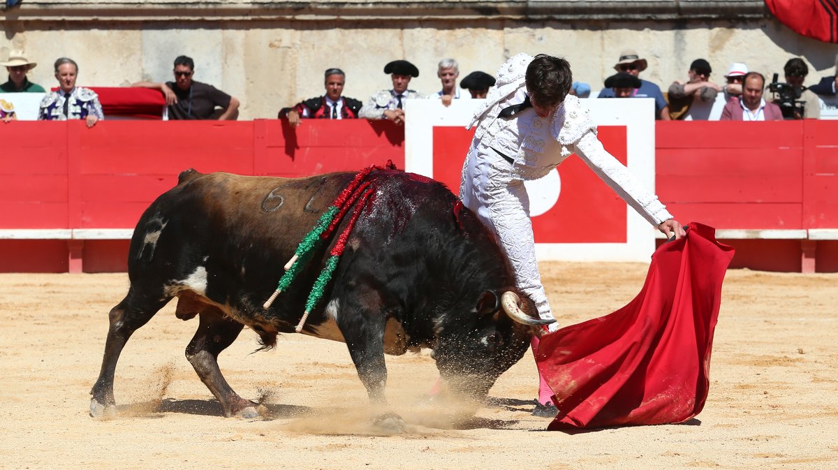 Corrida de Robert Margé pour Marc Serrano, Adriano, Tibo Garcia (confirmation d'alternative), El Rafi, Maxime Solera (confirmation d'alternative) et Solal (Photo Anthony Maurin)