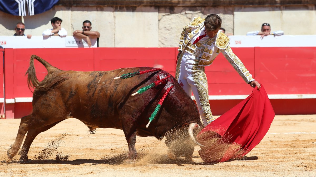 Corrida de Robert Margé pour Marc Serrano, Adriano, Tibo Garcia (confirmation d'alternative), El Rafi, Maxime Solera (confirmation d'alternative) et Solal (Photo Anthony Maurin)